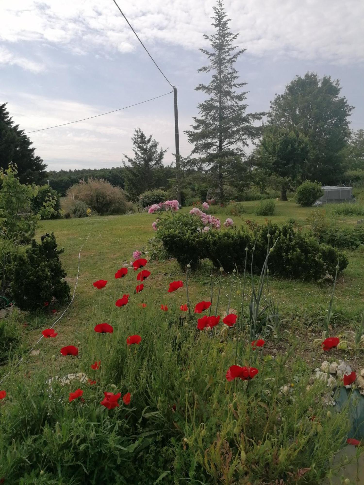 Gite 4 Pers, Jacuzzi, Piscine, Proche Futuroscope, Calme Et Nature A La Roche Posay Ла-Рош-Позе Экстерьер фото
